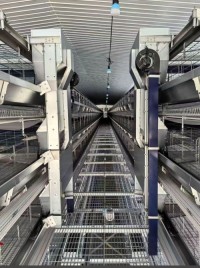 Poultry Farming Equipment