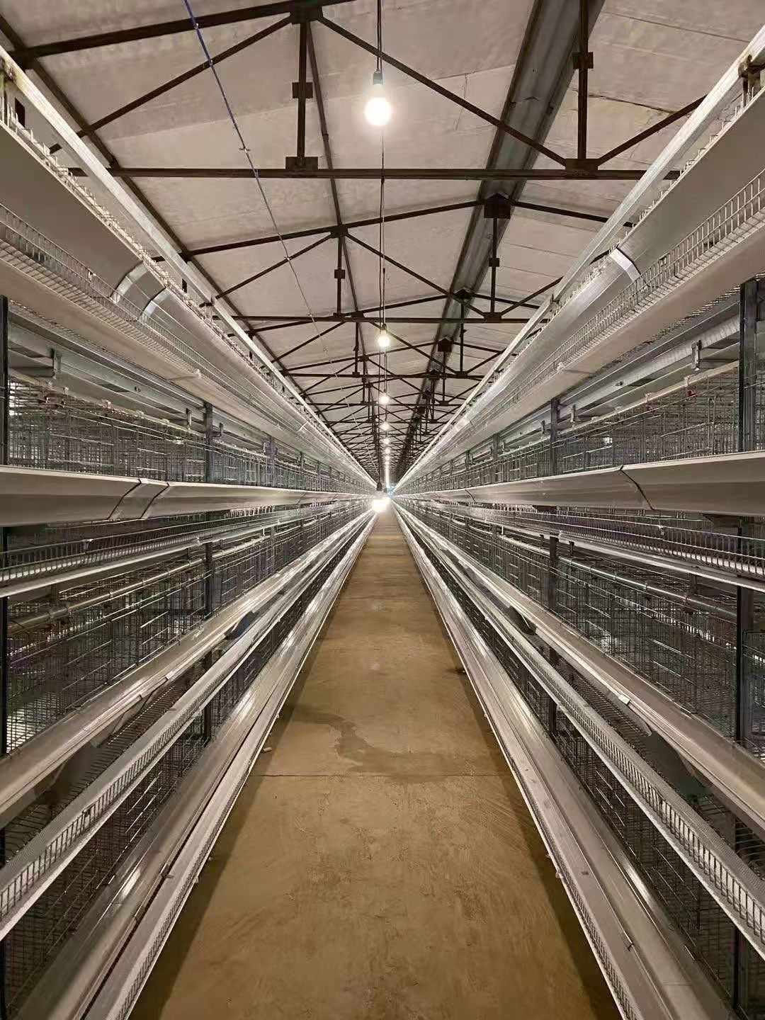 Battery Cage Laying Hen Equipment for Poultry Farming