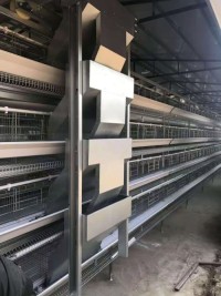 Battery Cage Laying Hen Equipment for Poultry Farming